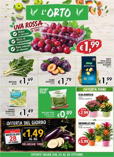 Volantino Coal - Coal il Market City valido dal 22/10 al 04/11 - pagina 4