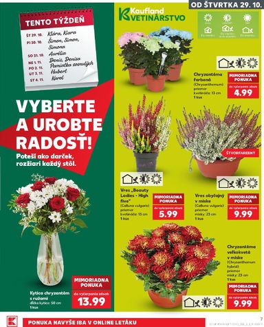 Leták Kaufland - Kaufland od 29.10. do 04.11. - strana 7