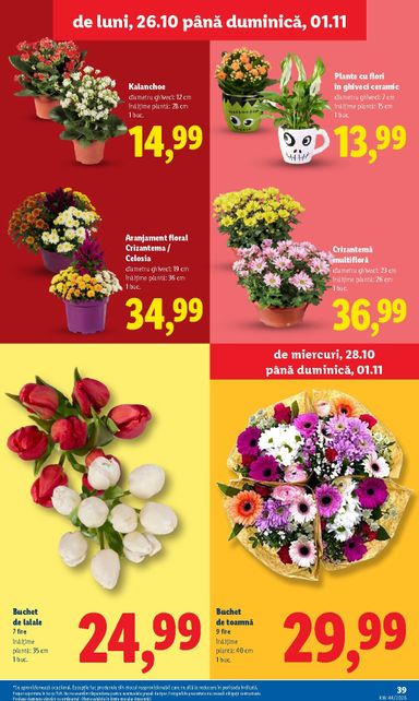 Catalogul Lidl - Lidl de la 26.10. până la 01.11. - pagina 39