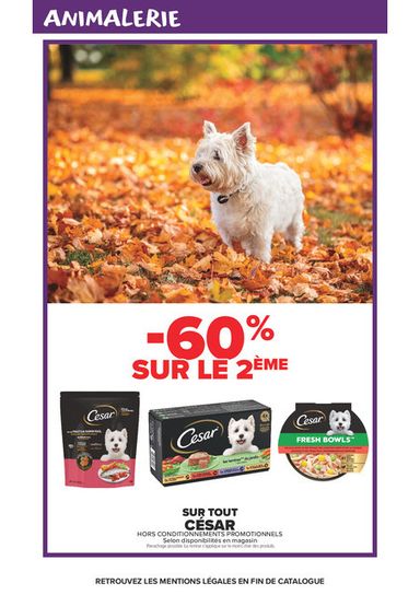 Catalogue Carrefour Market - Carrefour Market valable dès le 20/10 au 01/11 - page 49
