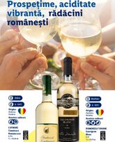 catalog Lidl de la luni 28.09.