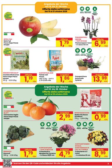 Volantino Despar - Despar valido dal 15/10 al 28/10 - pagina 3