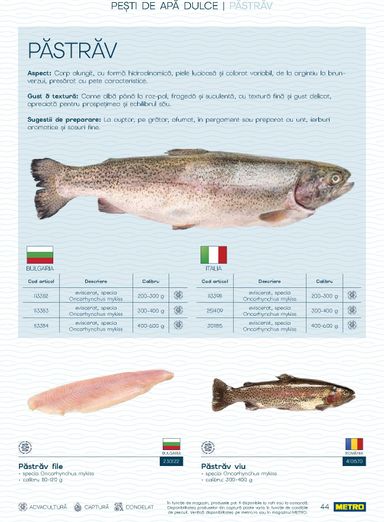 Catalogul Metro - Metro - Spui pește proaspăt de la 01.10. până la 31.12. - pagina 44