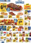 Food Lion