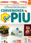 Conad City - Convenienza Più