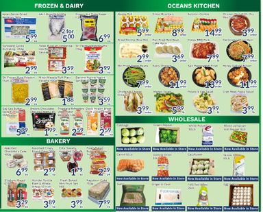 Flyer Oceans Fresh Food Market - Oceans - 150 West Drive, Unit 104 Brampton valid since 10-16 until 10-22 - page 4