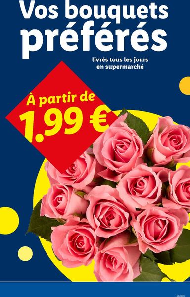 Catalogue Lidl - Lidl valable dès le 22/10 au 28/10 - page 31