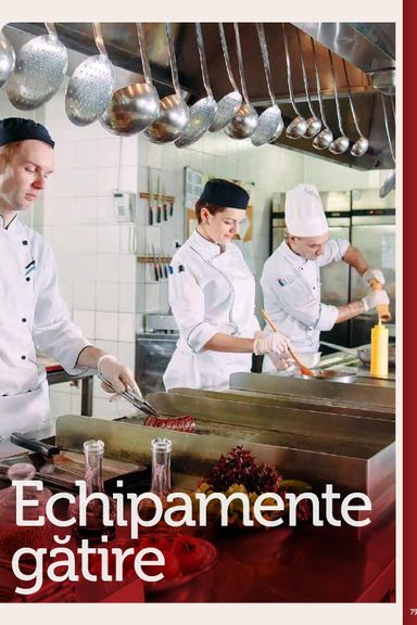 Catalogul Metro - Metro - Echipamente Profesionale pentru HoReCa de la 01.01. până la 31.12. - pagina 79