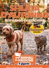 Il Gigante - Sfilata di Autunno