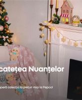 Catalog Pepco