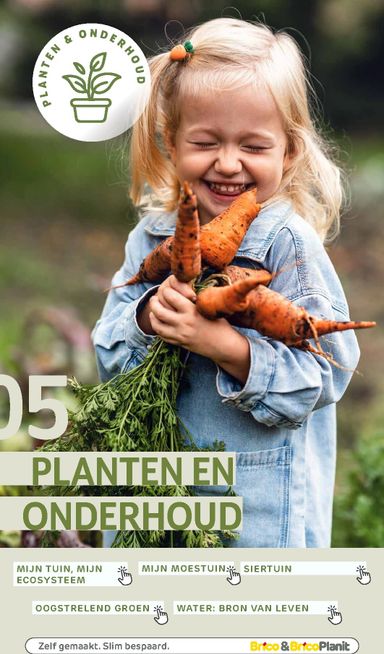 Folder Brico - Brico - Tuin catalogus van 01/03 tot 31/12 - side 104
