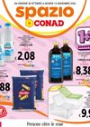 Spazio Conad - Roma