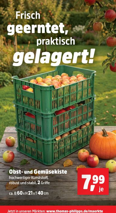 Prospekt Thomas Philipps - Thomas Phillips gültig ab 19.10. bis 24.10. - seite 17