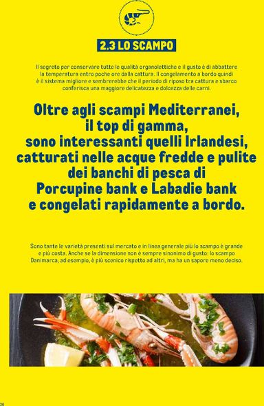 Volantino METRO - Metro - Catalogo Surgelati valido dal 01/01 al 31/12 - pagina 36
