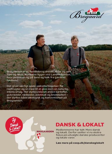 Brochurer Kvickly - Kvickly gyldig fra 23.10. til 29.10. - side 12