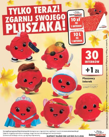Gazetka Intermarché - Intermarché - Katalog interki od 03.09. do 25.11. - strona 33