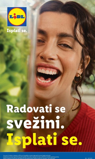 Katalog Lidl - Lidl od 29.10 do 04.11 - strana 45