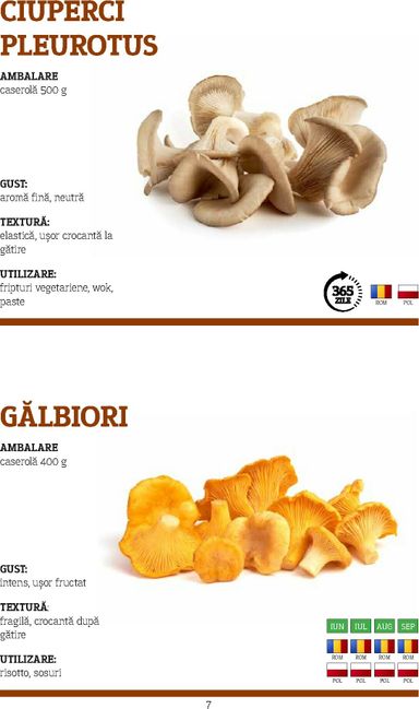 Catalogul Metro - Metro - Catalog Varietăți de Ciuperci de la 10.11. până la 31.10. - pagina 7