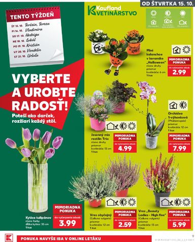 Leták Kaufland - Kaufland od 15.10. do 21.10. - strana 9
