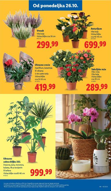 Katalog Lidl - Lidl od 22.10 do 28.10 - strana 71