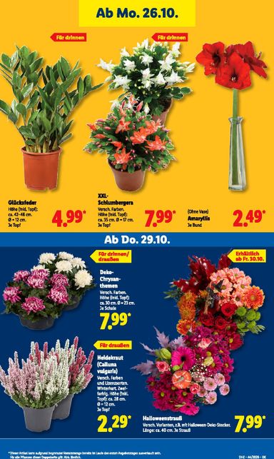 Prospekt Lidl - Lidl gültig ab 26.10. bis 31.10. - seite 33