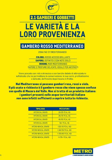 Volantino METRO - Metro - Catalogo Surgelati valido dal 01/01 al 31/12 - pagina 31