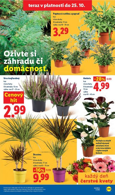 Leták Lidl - Lidl od 19.10. do 25.10. - strana 88