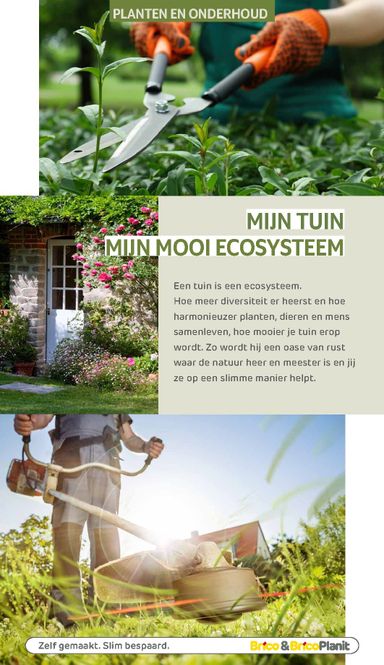 Folder Brico - Brico - Tuin catalogus van 01/03 tot 31/12 - side 105