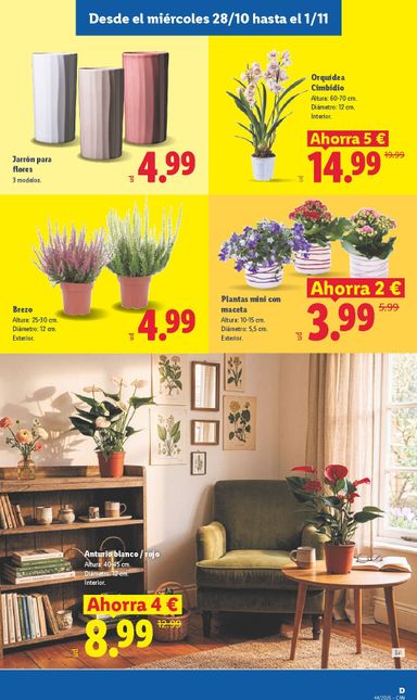 Folleto Lidl - Lidl - Islas Canarias del 26/10 al 01/11 - página 29