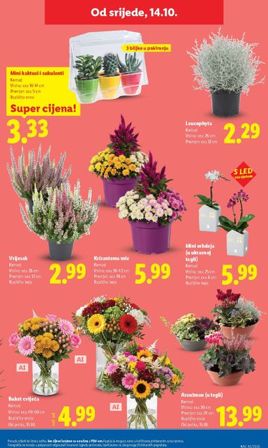 Katalog Lidl - Lidl vrijedi od 12.10. do 18.10. - stranica 37