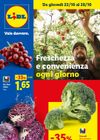 Lidl - Fresca e conveniente