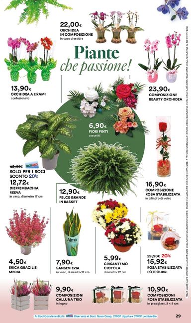 Volantino Ipercoop - Ipercoop - Casa d'Autunno valido dal 08/10 al 04/11 - pagina 29