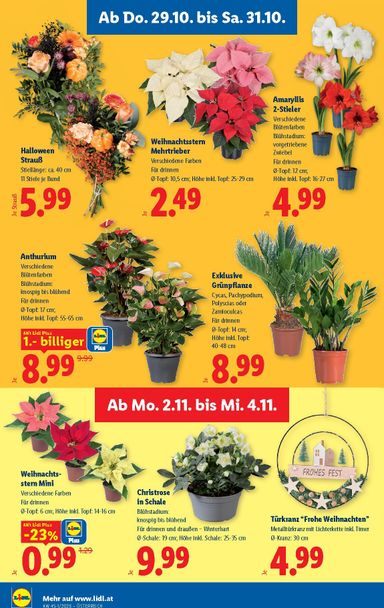 Lidl-Flugblatt - Lidl gültig ab 29.10. bis 04.11. - seite 28