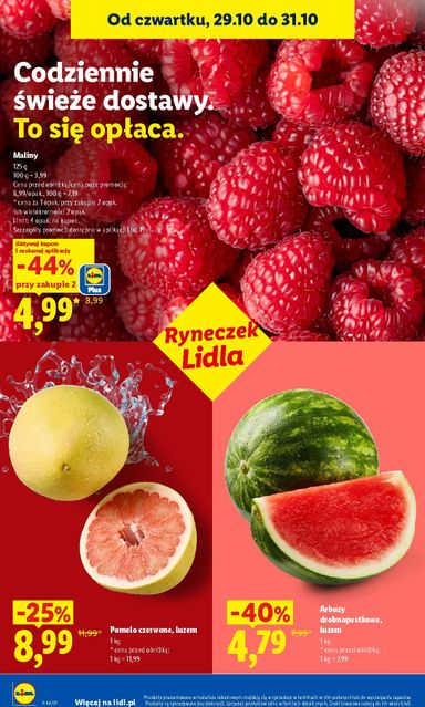 Gazetka Lidl - Lidl od 29.10. do 31.10. - strona 48