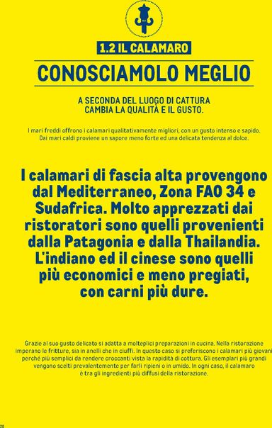 Volantino METRO - Metro - Catalogo Surgelati valido dal 01/01 al 31/12 - pagina 20