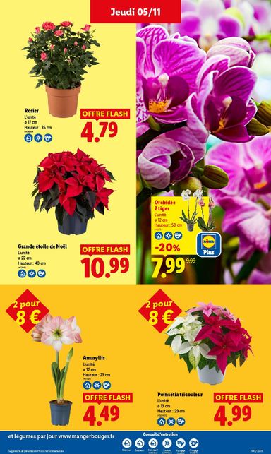 Catalogue Lidl - Lidl valable dès le 05/11 au 11/11 - page 29