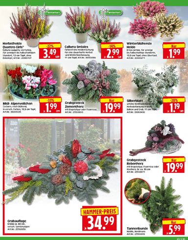 Prospekt Herkules - Herkules - Bau & Garten gültig ab 19.10. bis 24.10. - seite 2