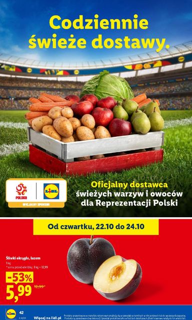 Leták Lidl Polsko - Lidl Polsko od 22.10. do 24.10. - strana 44