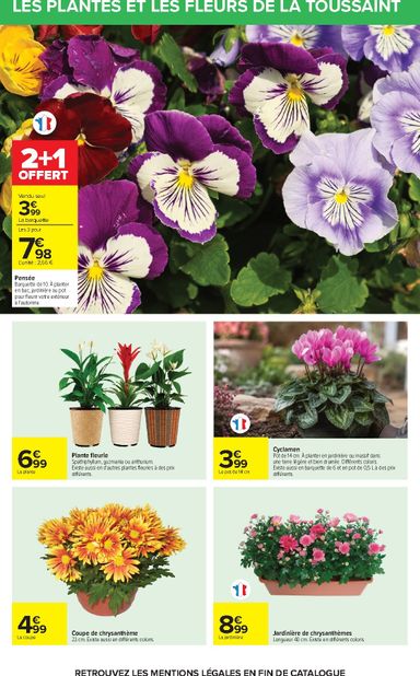 Catalogue Carrefour - Carrefour - Halloween valable dès le 20/10 au 02/11 - page 69