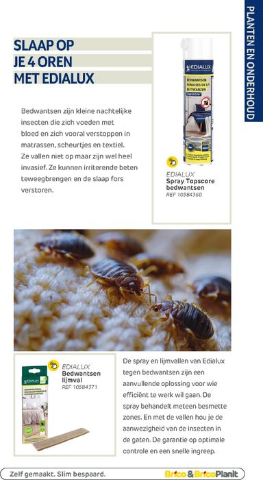 Folder Brico - Brico - Tuin catalogus van 01/03 tot 31/12 - side 155