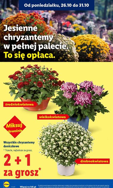 Gazetka Lidl - Lidl od 26.10. do 31.10. - strona 46