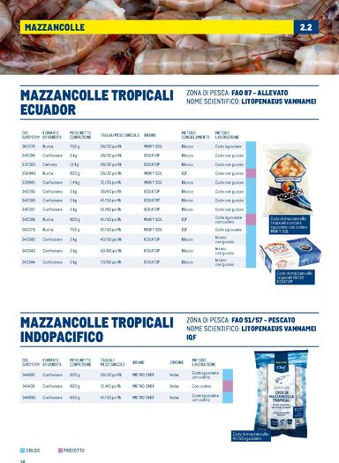 Volantino METRO - Metro - Catalogo Surgelati valido dal 01/01 al 31/12 - pagina 34