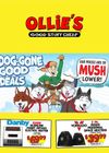 Ollie's