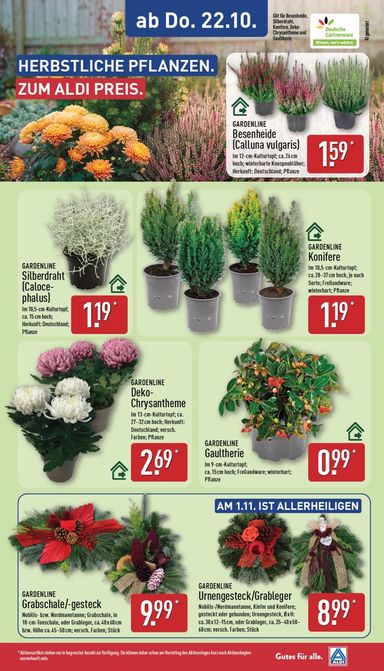 Prospekt ALDI Nord - ALDI NORD gültig ab 19.10. bis 24.10. - seite 29