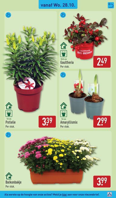 Folder ALDI - ALDI van 26-10 tot 01-11 - side 37