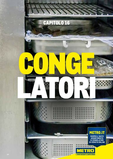 Volantino METRO - Metro - Catalogo Surgelati valido dal 01/01 al 31/12 - pagina 103