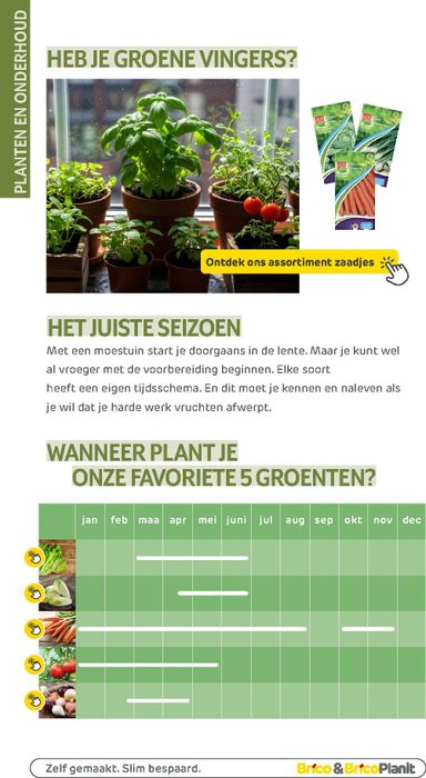 Folder Brico - Brico - Tuin catalogus van 01/03 tot 31/12 - side 150