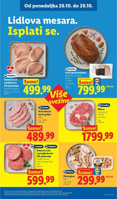 Katalog Lidl - Lidl od 22.10 do 28.10 - strana 101