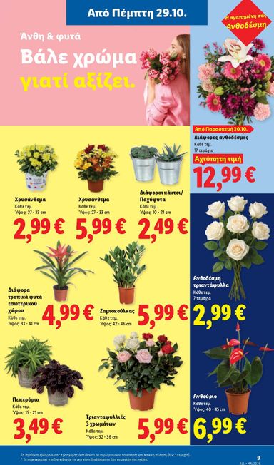 Φυλλάδιο Lidl - Lidl από 29/10 έως 04/11 - σελίδα 43