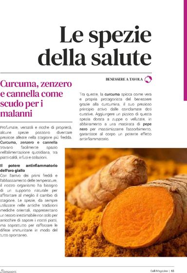 Volantino Gulliver - Gulliver - Gulli Ottobre valido dal 01/10 al 31/10 - pagina 65